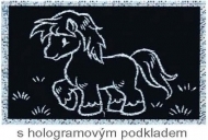 Vyškrabávací obrázky se stříbrným hologramovým podkladem 15x10cm